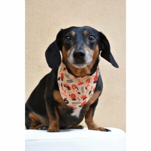 Fire Dog Bandana for Stylish Pets & Firehouse Pups