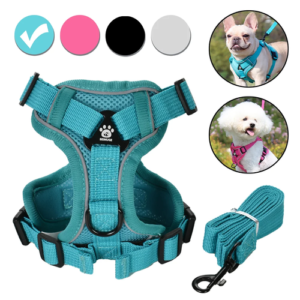 Reflective Adjustable Dog Harness & Leash Set for Dogs