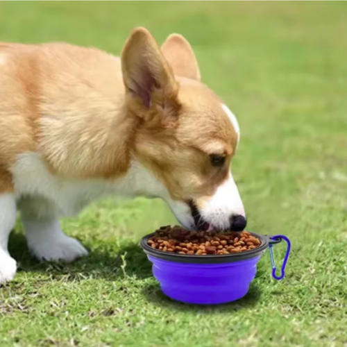 Portable Dog Food Bowl Silicone for Travel Feeding - Image 4