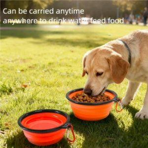 Collapsible Portable Dog Bowl Silicone for Travel