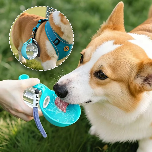 Portable Dog Water Bottle with Bowl for Travel - Image 5