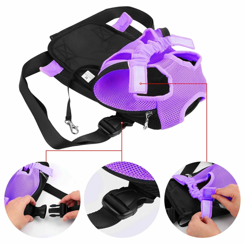Pet Dog Carrier Backpack Mesh for Small Dogs - Image 6