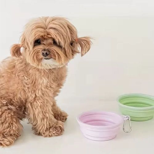 Portable Foldable Silicone Dog Bowl for Travel - Image 2