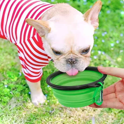 Portable Dog Food Bowl Silicone for Travel Feeding - Image 5