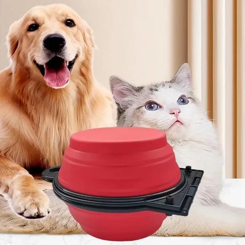 Portable 2-in-1 Foldable Dual Dog Bowl for Travel - Image 3