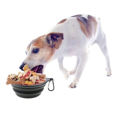 Portable Silicone Folding Dog Bowl for Travel - Image 6