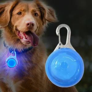 LED Glow Dog Collar Pendant for Night Walk Safety