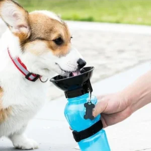 Portable Pet Dog Water Bottle for Travel & Walks
