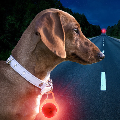 LED Glow Dog Collar Pendant for Night Walk Safety - Image 2