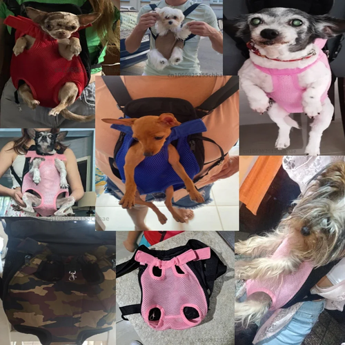 Pet Dog Carrier Backpack Mesh for Small Dogs - Image 2