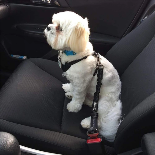 Dog Car Safety Leash Adjustable Retractable for Travel - Image 5